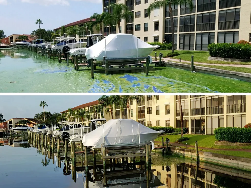 A side-by-side before and after comparison of a residential marina canal, showing thick green and blue algal bloom coverage on the left, and the same waterway restored to clear, calm water on the right.