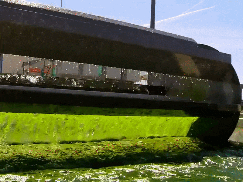 Animation showing upstream dissolved nutrient capture technology removing bioavailable nitrogen and phosphorus from waterways before they reach lakes, canals, and estuaries.