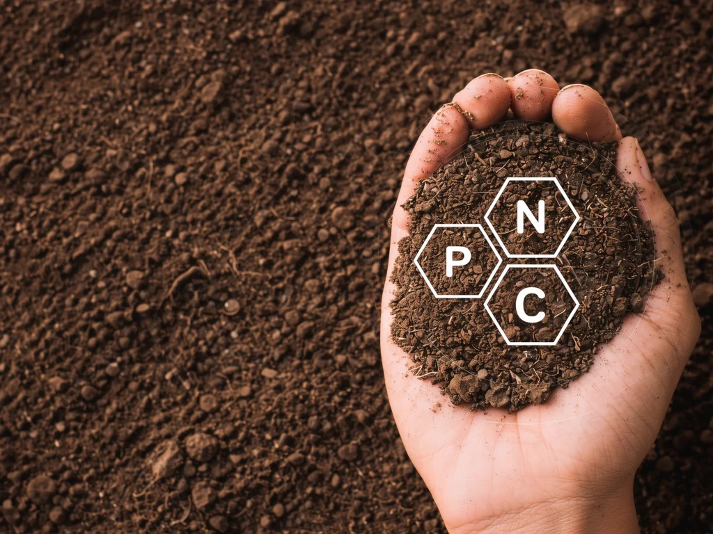 A pair of cupped hands holding rich dark soil against a soil background, overlaid with a graphic of three interlocking hexagons labeled P, N, and C representing phosphorus, nitrogen, and carbon.
