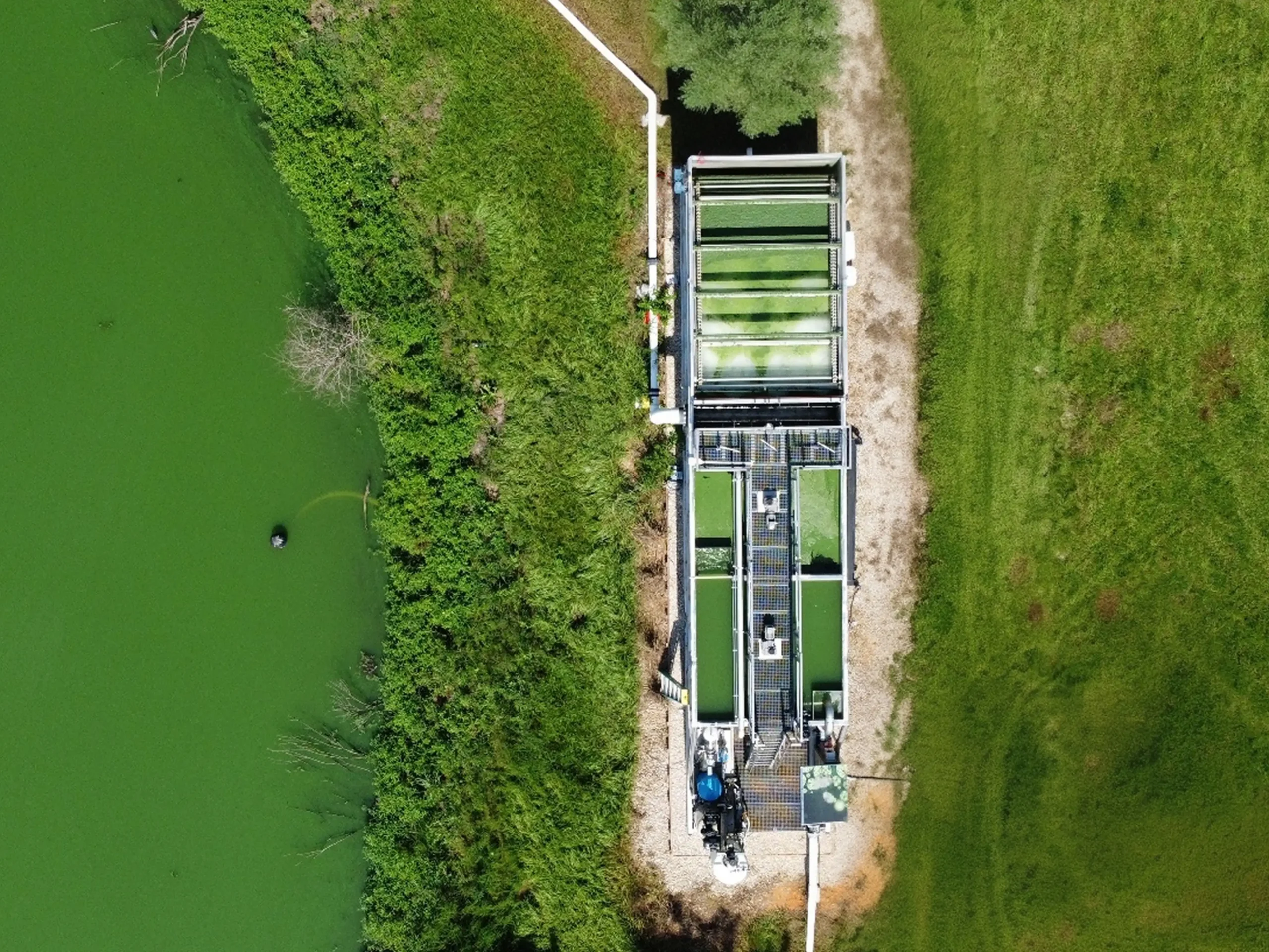 Aerial view of an HFT™ algae harvesting system positioned at the edge of a heavily algae-bloomed green waterway, with processing tanks and piping visible alongside a gravel access path and surrounding grassland.